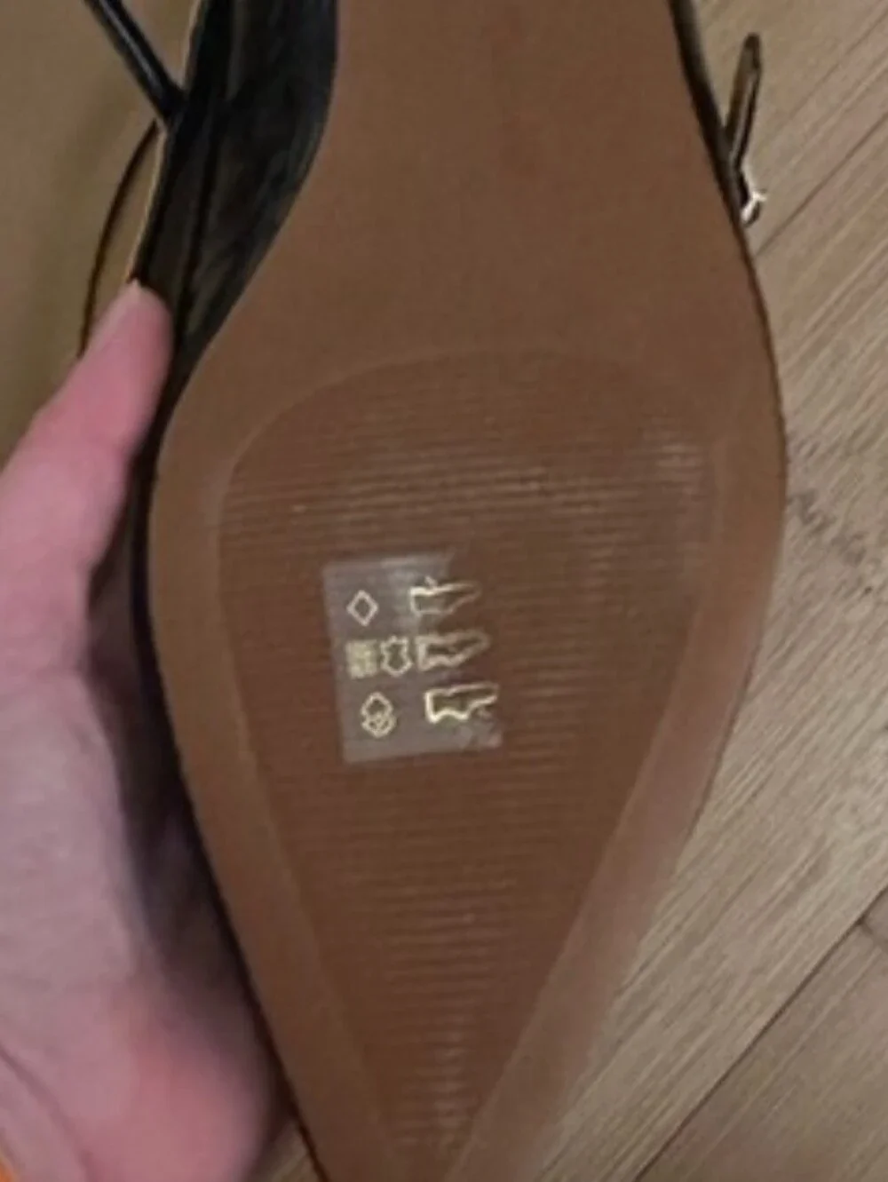 NWOT Madewell Elsie Pointed Patent Mary Jane Flats